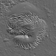 Illustration for article titled An ancient force that created the spiral ice chasms of Mars
